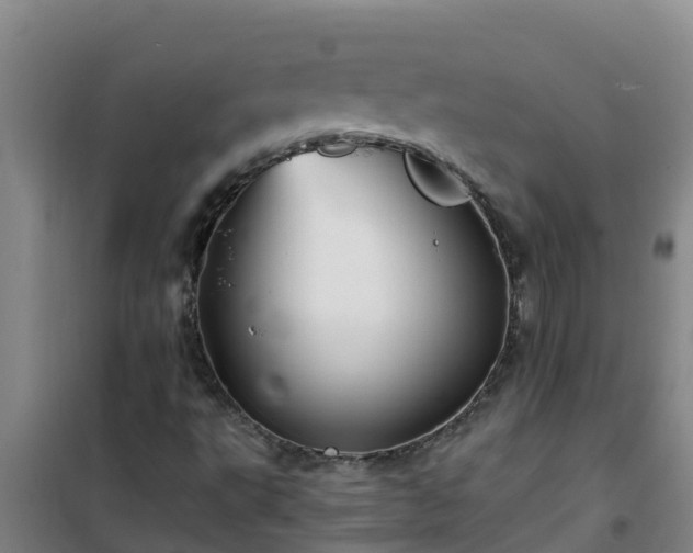 X0000101101495200807031737