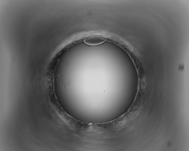 X0000101101496200807031737