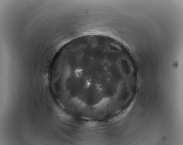 X0000101101497200807031737