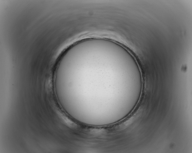 X0000101101498200807031738
