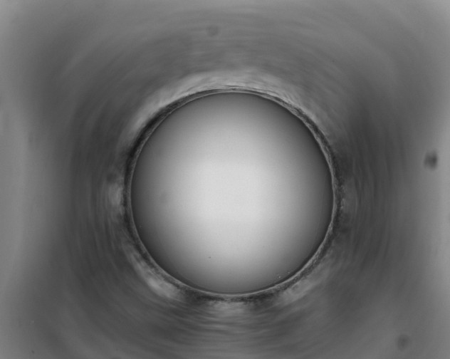X0000101101499200807031738