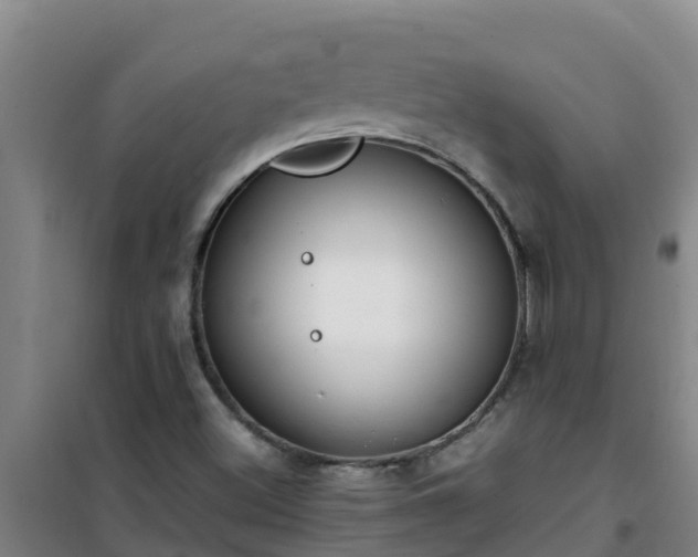 X0000101101500200807031738