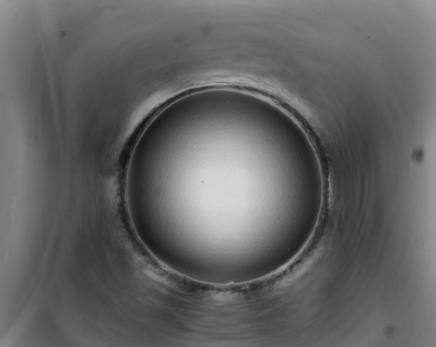 X0000101101501200807031738