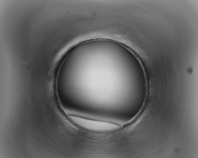 X0000101101502200807031738