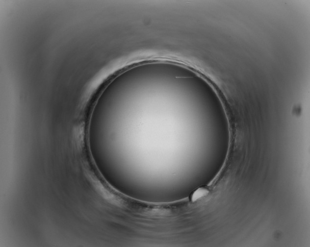 X0000101101503200807031738