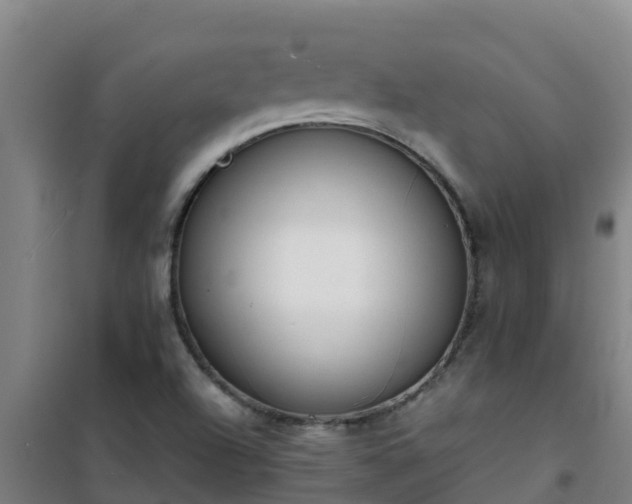 X0000101101504200807031738