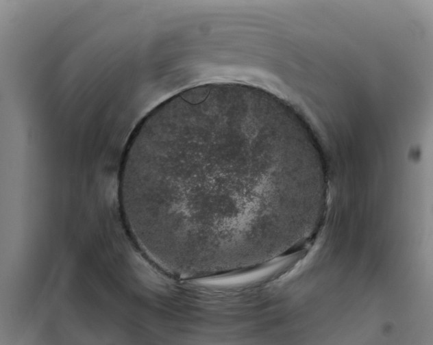 X0000101101505200807031738
