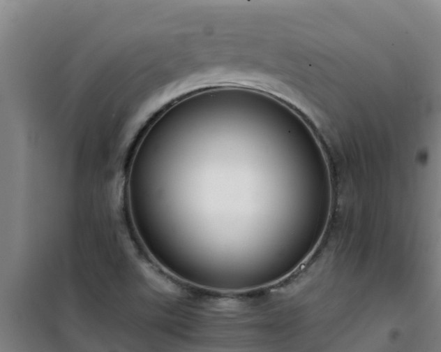 X0000101101507200807031738