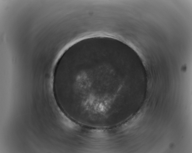 X0000101101508200807031738