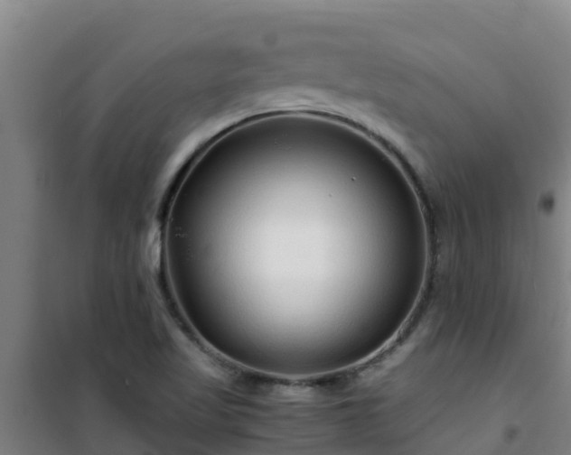 X0000101101509200807031738