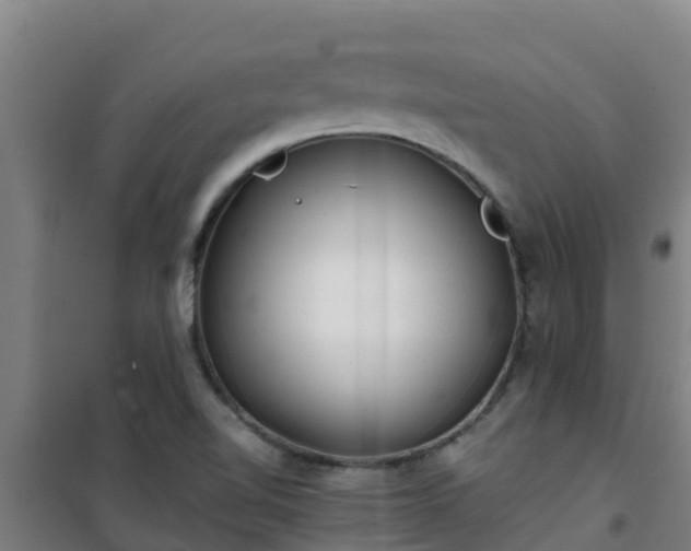 X0000101101510200807031738