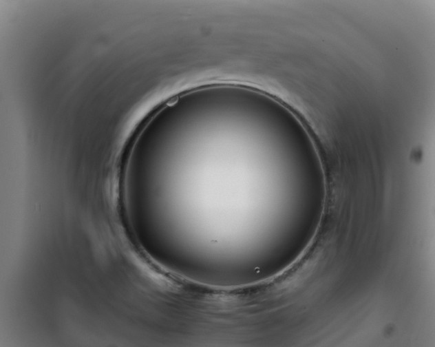 X0000101101511200807031738