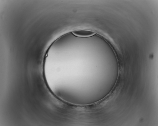 X0000101101512200807031738