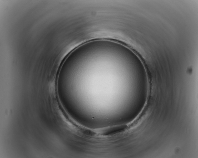 X0000101101513200807031738