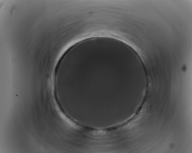 X0000101101515200807031738