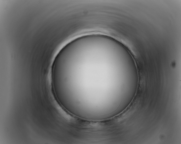 X0000101101516200807031738