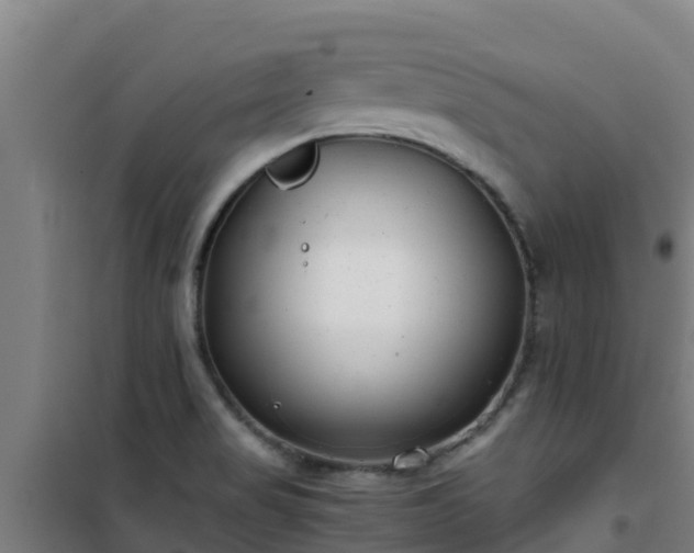 X0000101101517200807031738