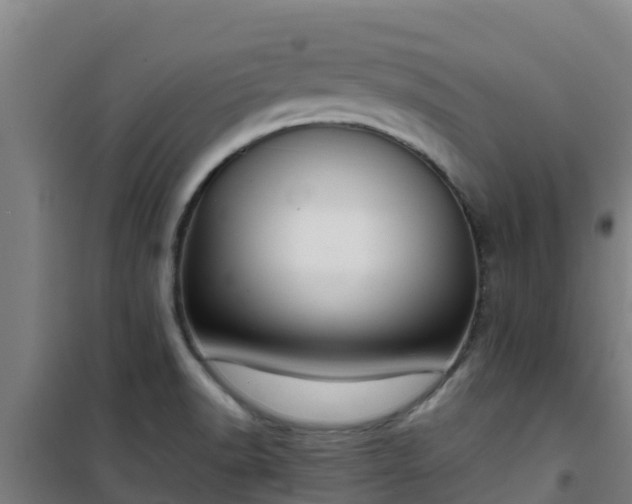 X0000101101518200807031738