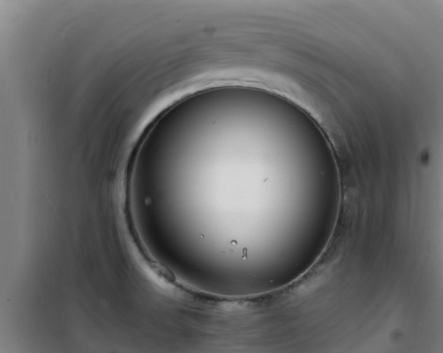 X0000101101523200807031738
