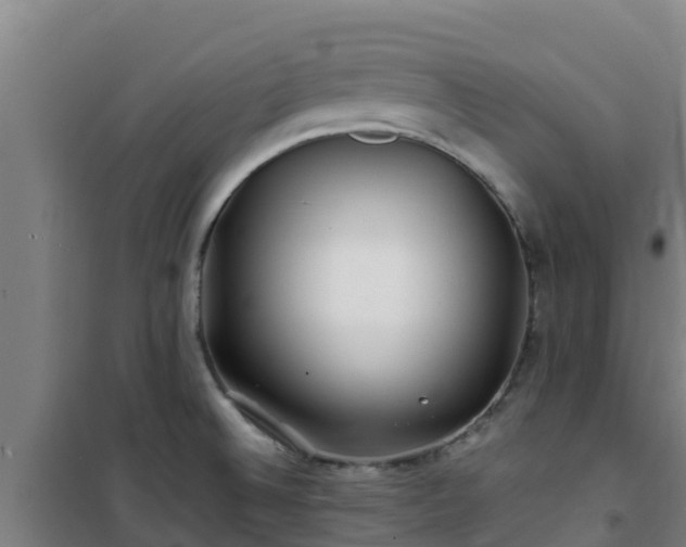 X0000101101524200807031738