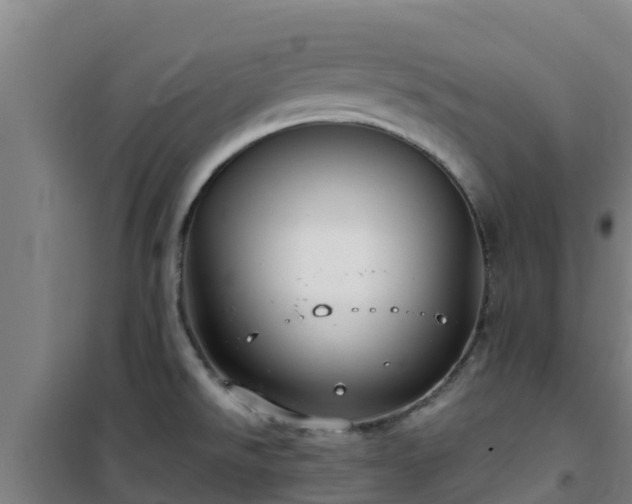 X0000101101526200807031738