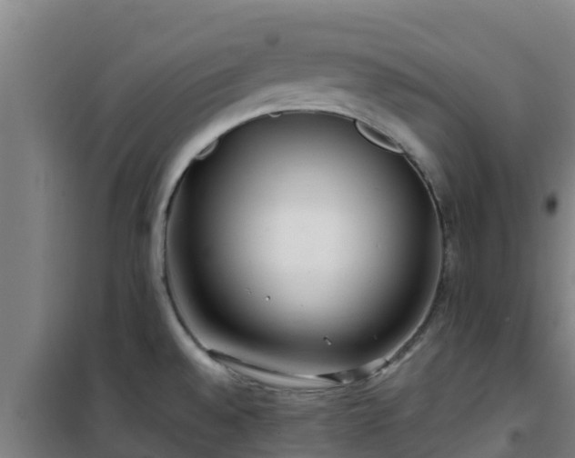 X0000101101528200807031738