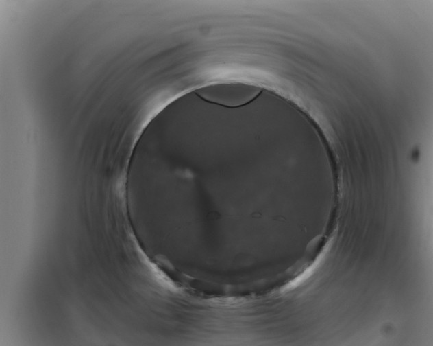 X0000101101529200807031738