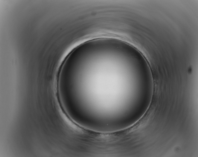 X0000101101531200807031738