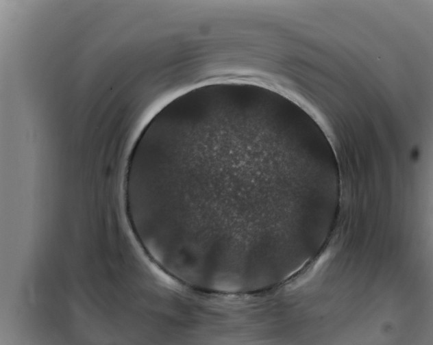 X0000101101533200807031738