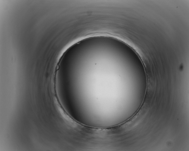 X0000101101534200807031738
