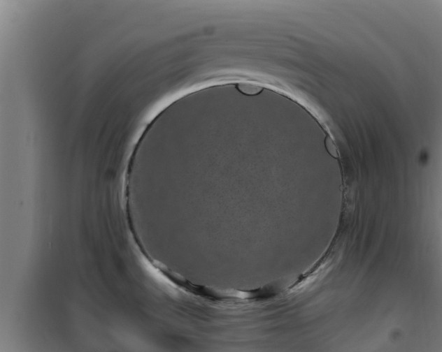 X0000101101535200807031738
