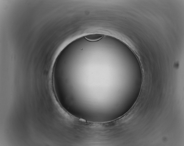 X0000101101536200807031738
