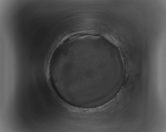 X0000101100002200807101457