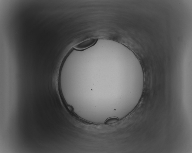 X0000101100003200807101457