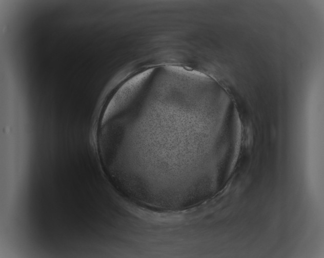 X0000101100004200807101457