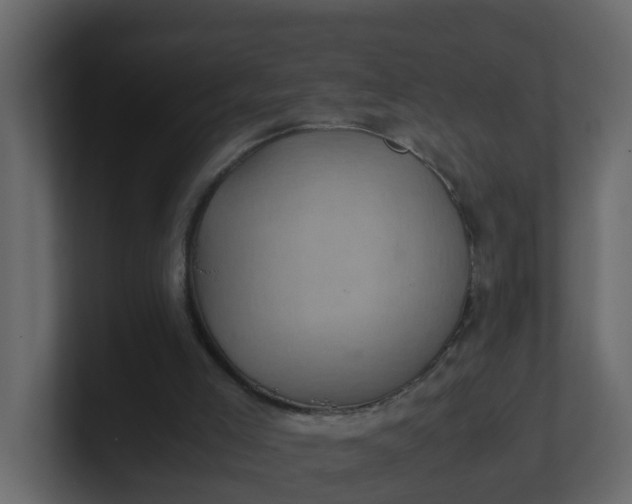 X0000101100005200807101457