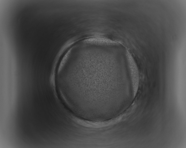 X0000101100006200807101457