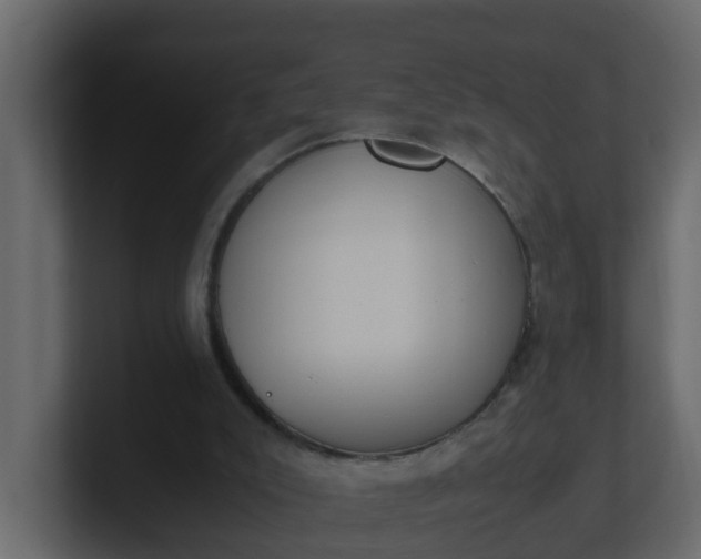 X0000101100007200807101457