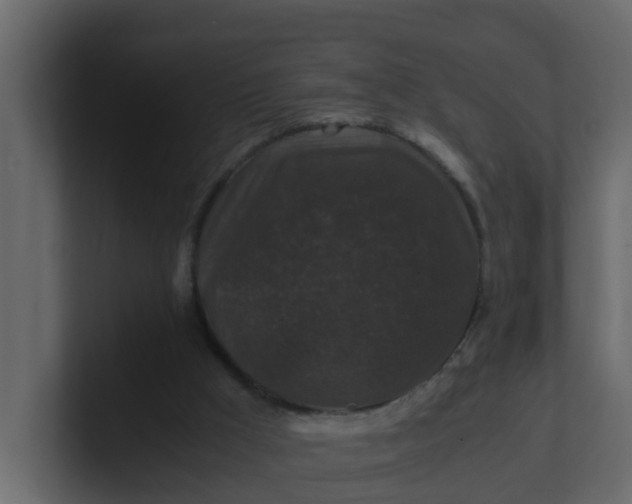 X0000101100009200807101457