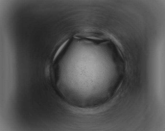 X0000101100010200807101457