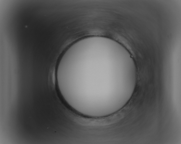 X0000101100011200807101457