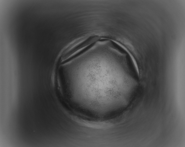 X0000101100012200807101457