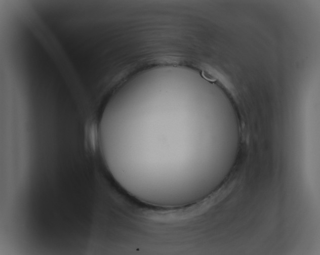 X0000101100013200807101457