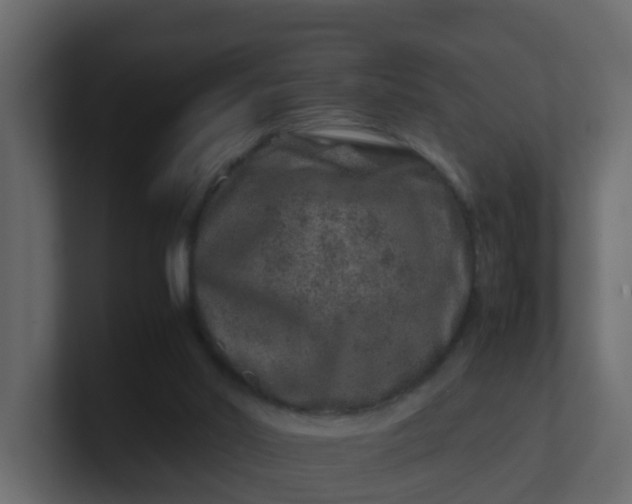 X0000101100014200807101457