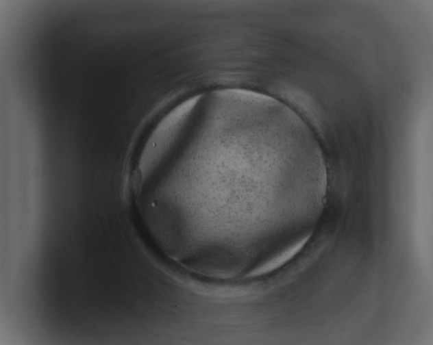 X0000101100016200807101457