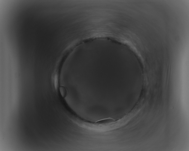 X0000101100019200807101457