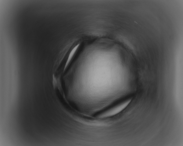 X0000101100020200807101457