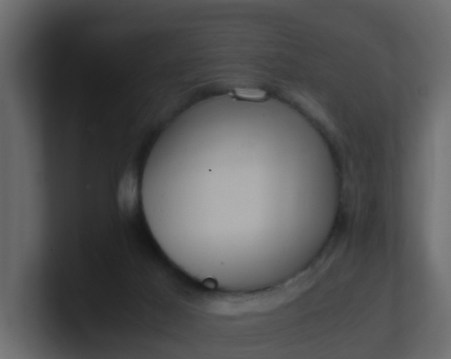 X0000101100021200807101457