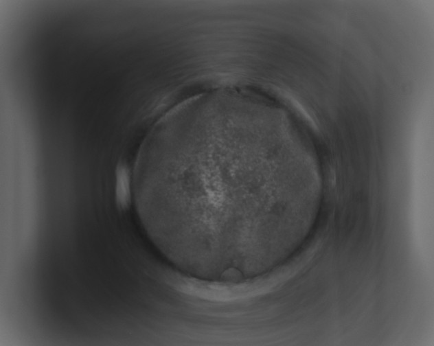 X0000101100022200807101457