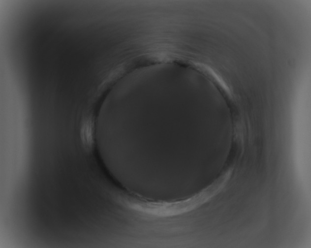 X0000101100023200807101457